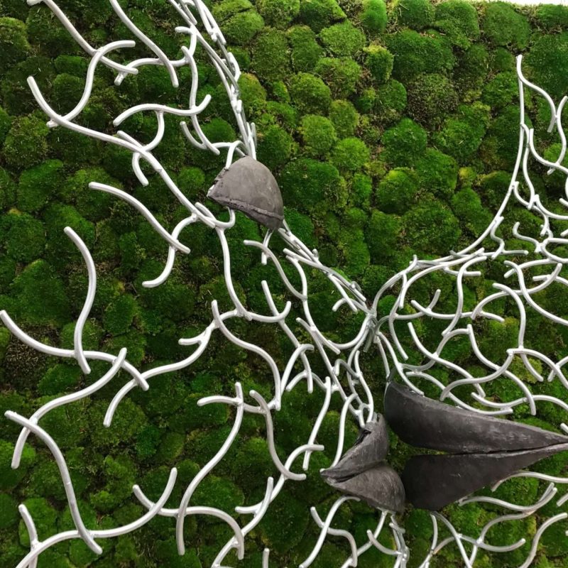 Close Up Faces Structure