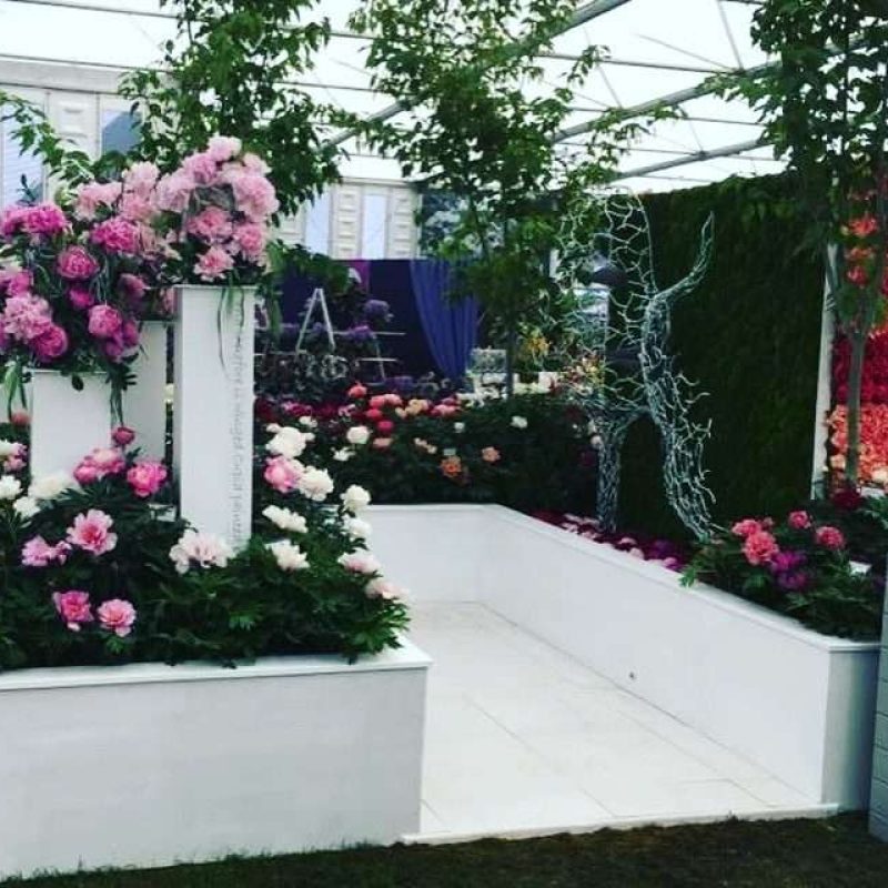 Faces Structure At Chelsea