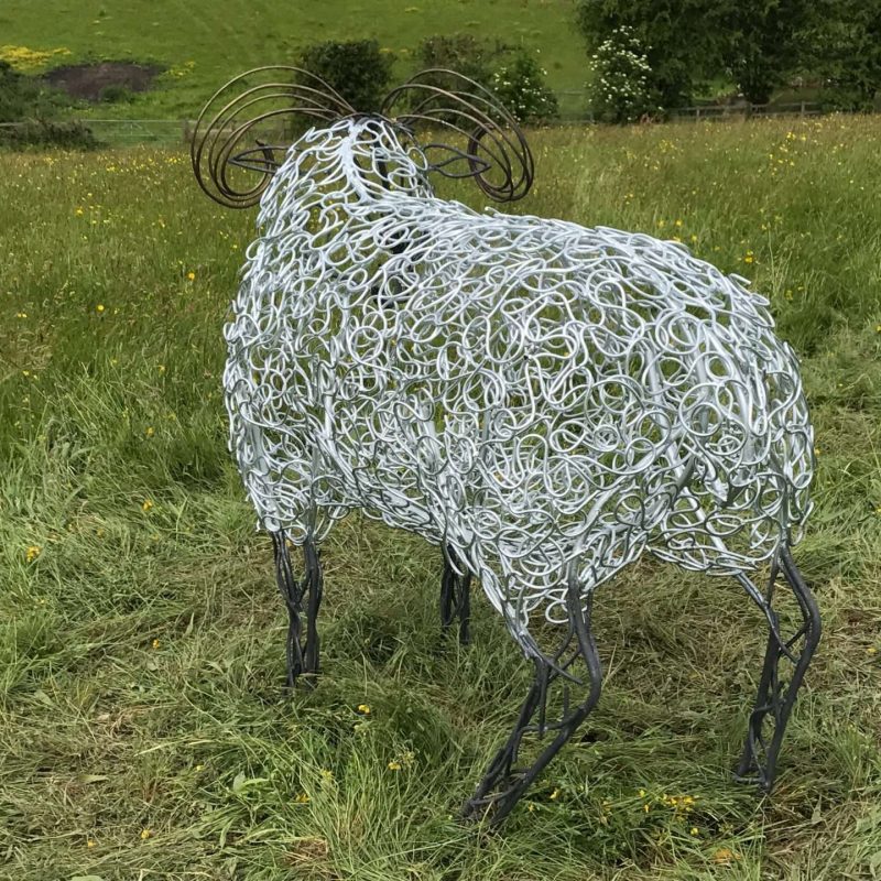 Back of Ram Sheep Sculpture With Golden Horns