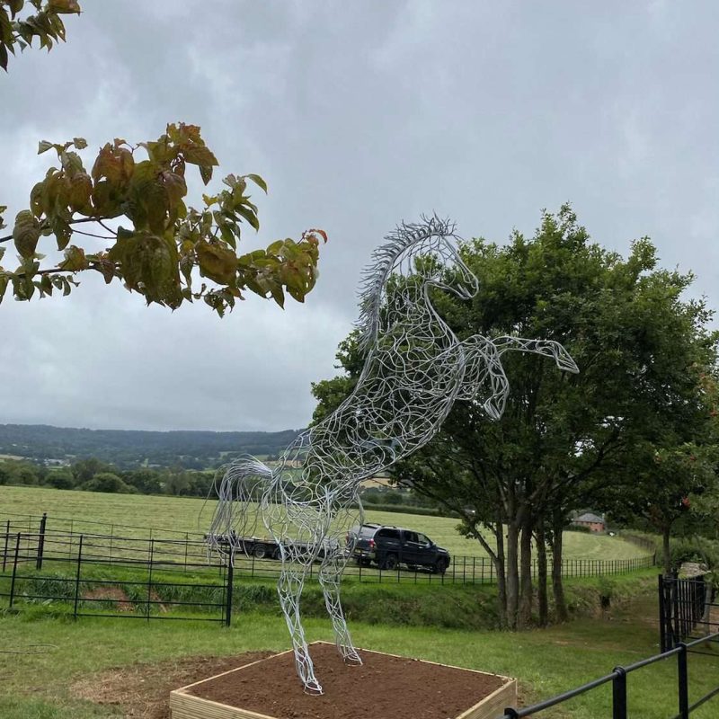 Standing Horse Next To Fields