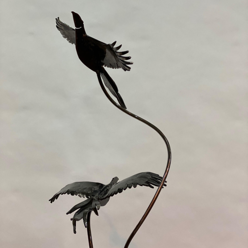 Two Birds Flying With Cloudy Background