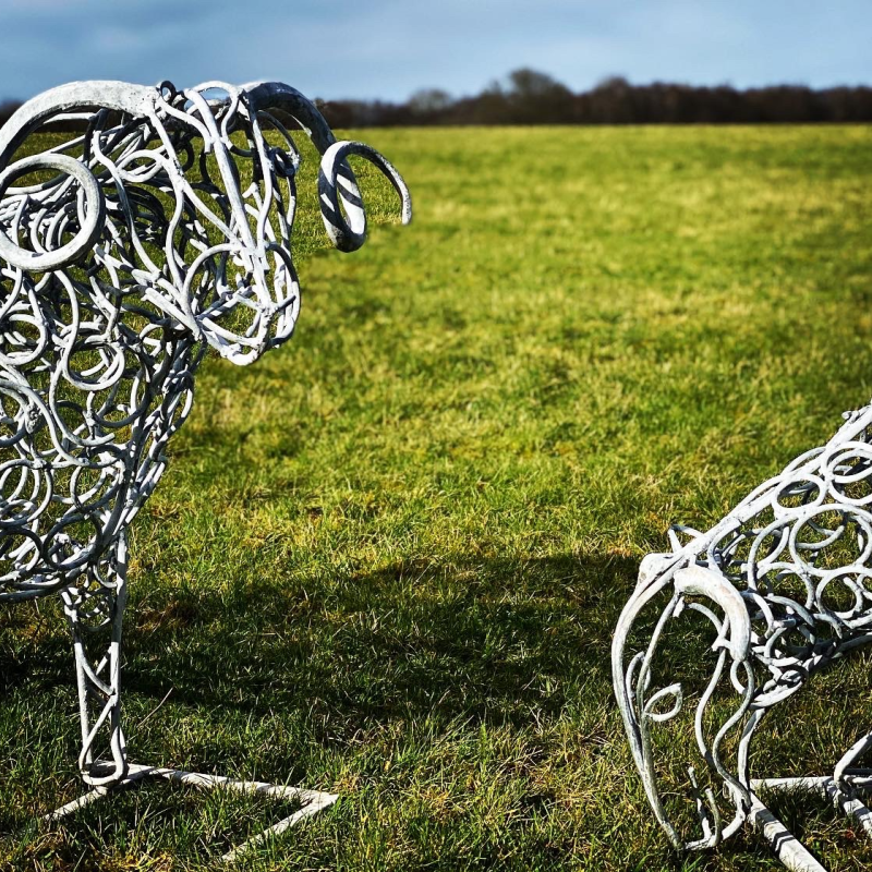 Ram Sheep Scultpure Flock