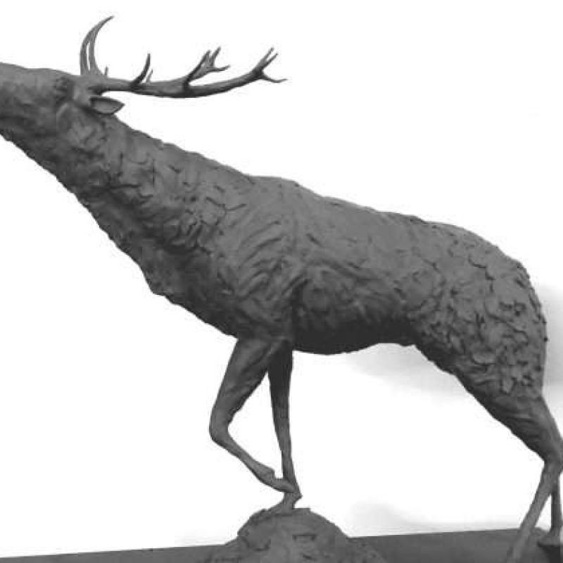 Stag Sculpture white background
