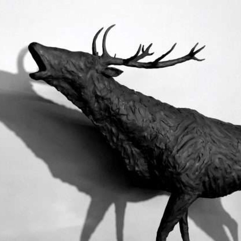 Stag Sculpture head close up