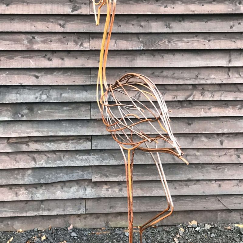 Back Of Yellow Heron