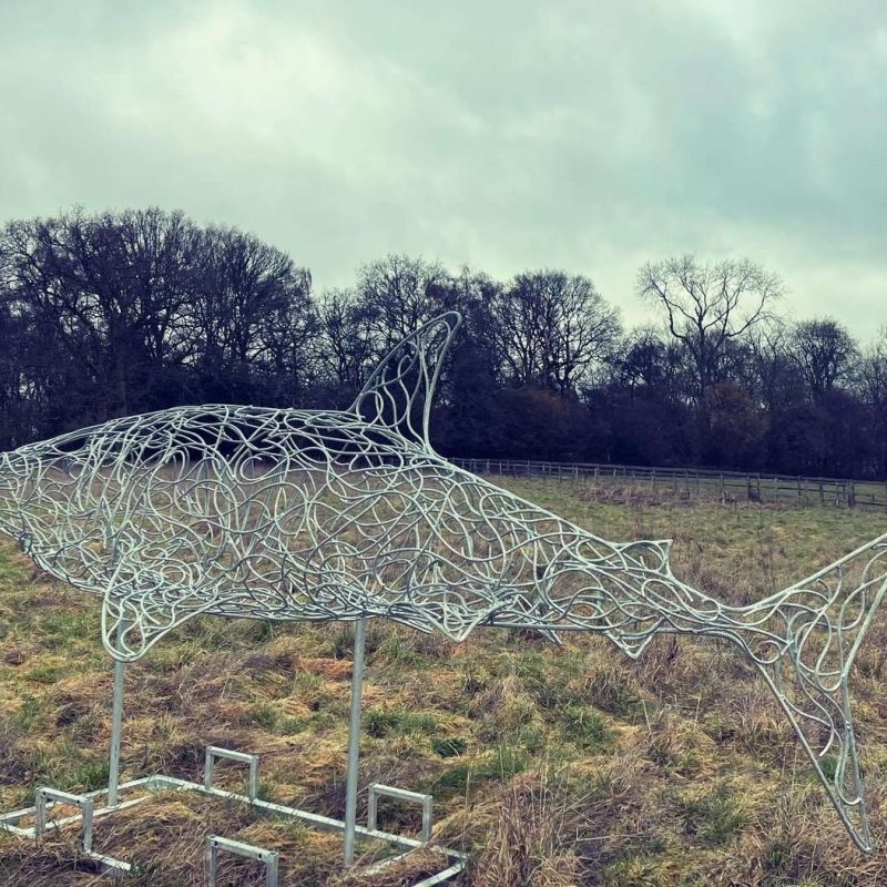 Shark Sculpture